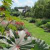 Manor House and Castor Oil plant close up