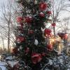 Courtyard Christmas Tree during Deck the Hall.